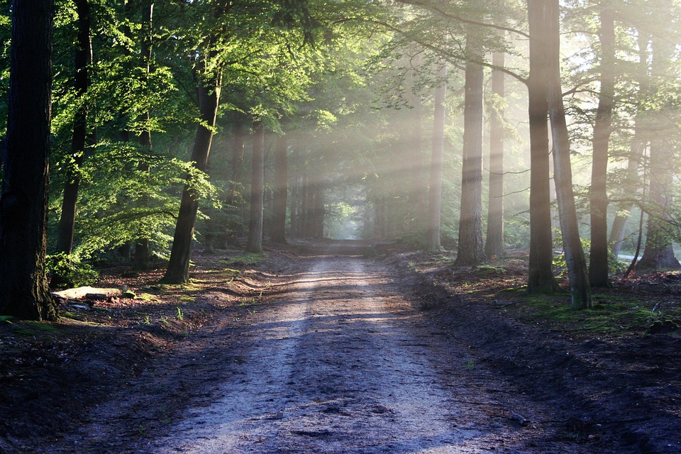 trail navigation tips