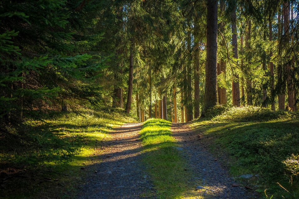 long distance hiking