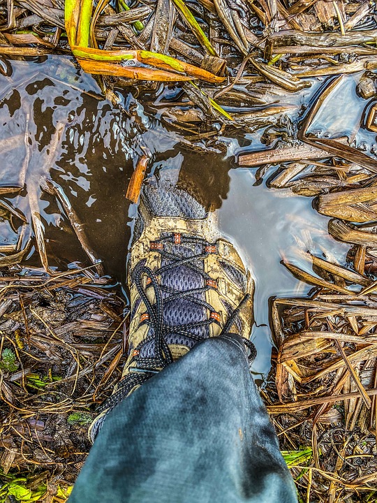 best hiking boots
