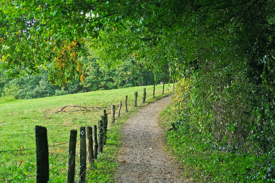 off trail hiking