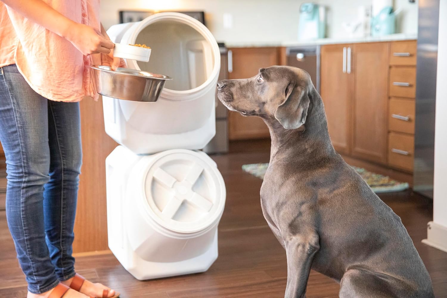 1789184750_255_Vittles-Vault-Pet-Food-Container-with-Scoop Vittles Vault Pet Food Container with Scoop