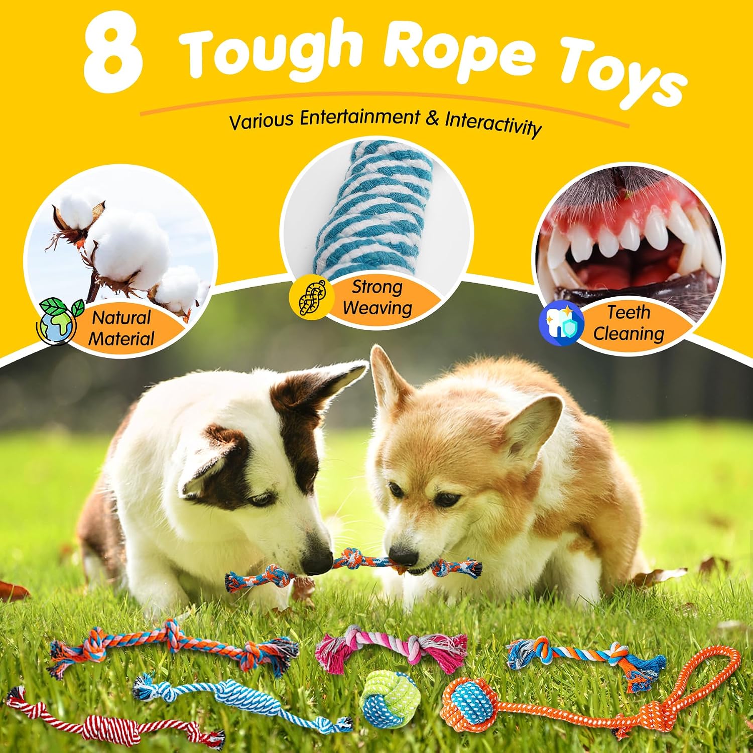 1789271387_529_Zeaxuie-25-Pack-Luxury-Puppy-Teething-Toys Zeaxuie 25-Pack Luxury Puppy Teething Toys