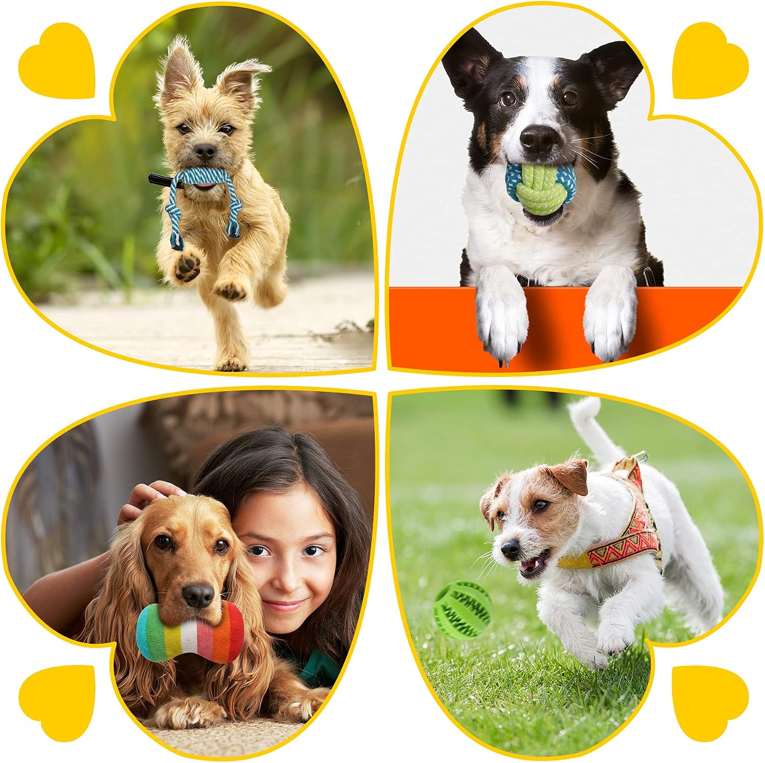 1789271387_735_Zeaxuie-25-Pack-Luxury-Puppy-Teething-Toys Zeaxuie 25-Pack Luxury Puppy Teething Toys