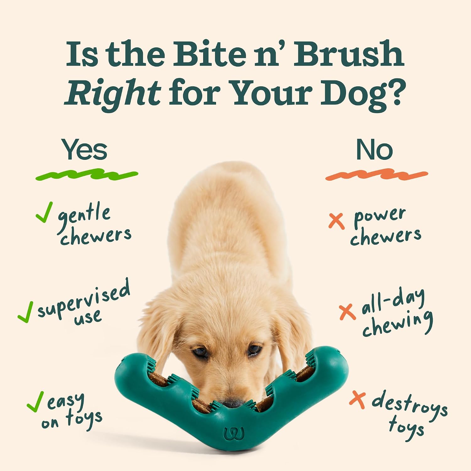 1789357903_14_WOOF-Dog-Dental-Chew-Toy-for-Small-Dogs WOOF Dog Dental Chew Toy for Small Dogs