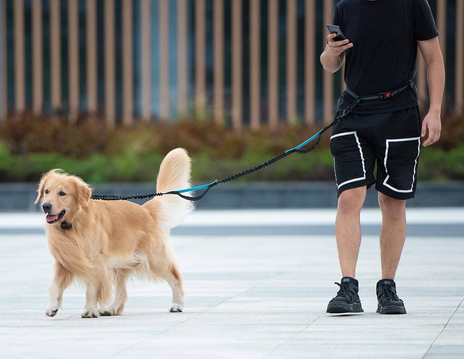 1789618590_162_iYoShop-Military-Green-Hands-Free-Dog-Leash iYoShop Military Green Hands-Free Dog Leash