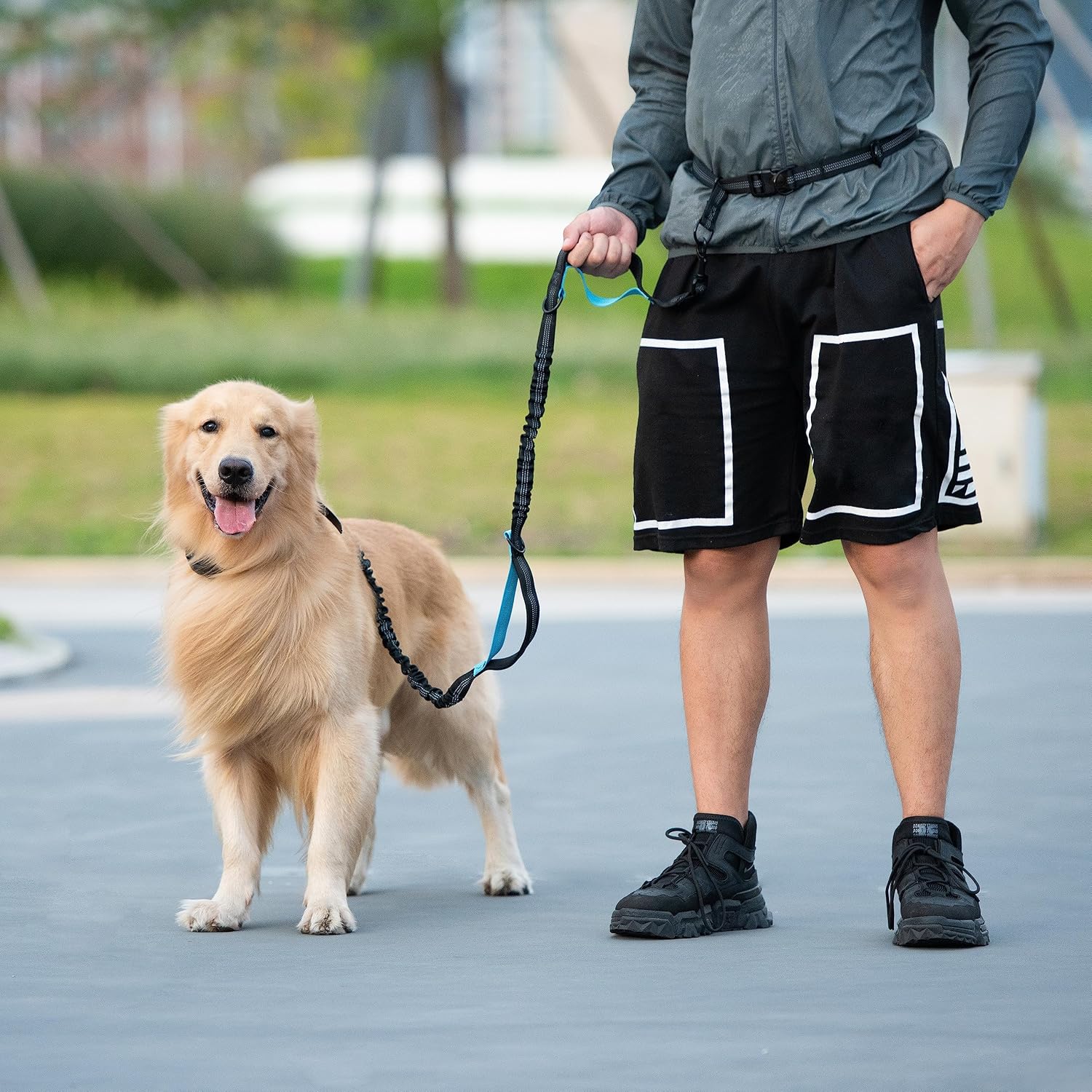 1789618590_279_iYoShop-Military-Green-Hands-Free-Dog-Leash iYoShop Military Green Hands-Free Dog Leash