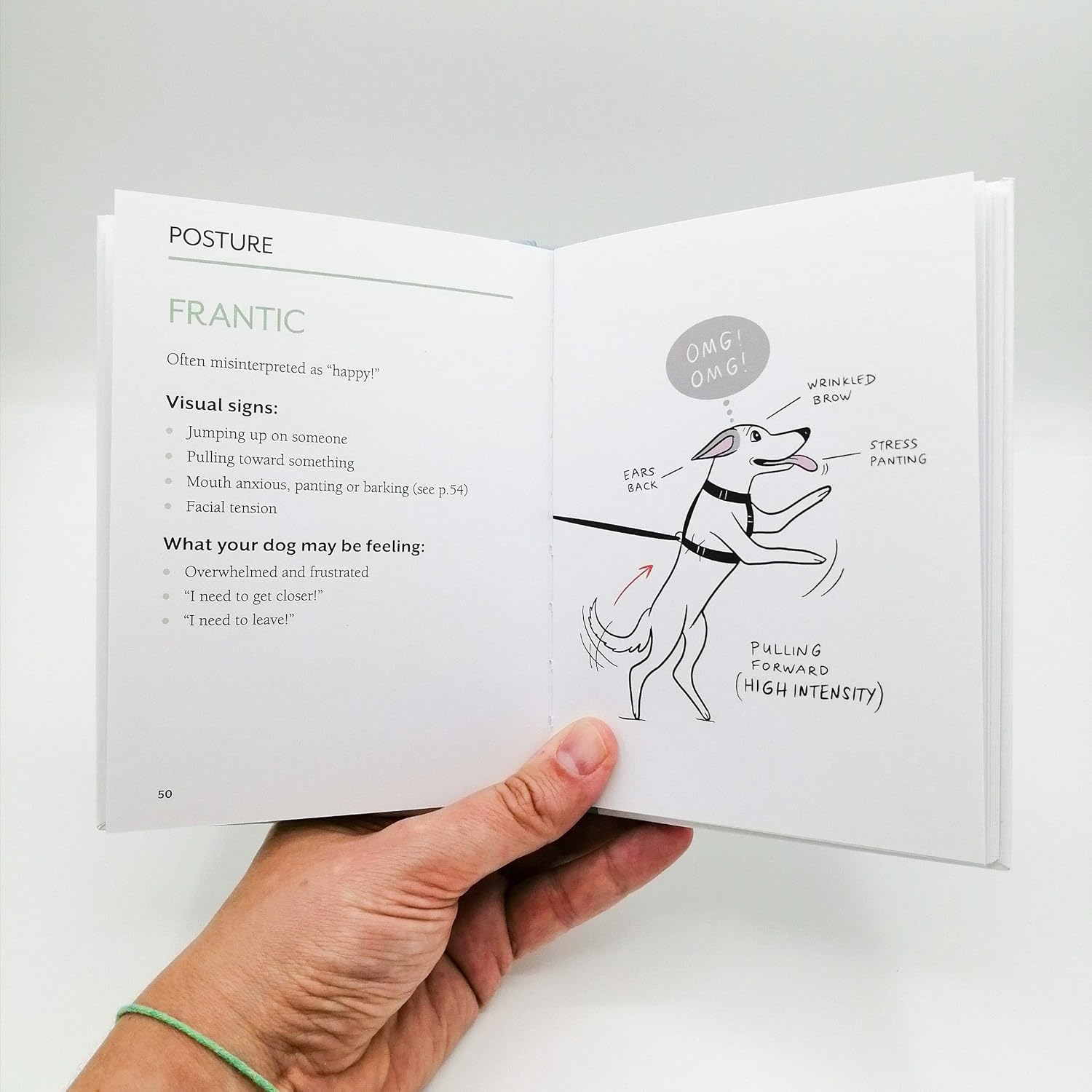 1789705668_641_Doggie-Language-Understand-Your-Dog Doggie Language: Understand Your Dog