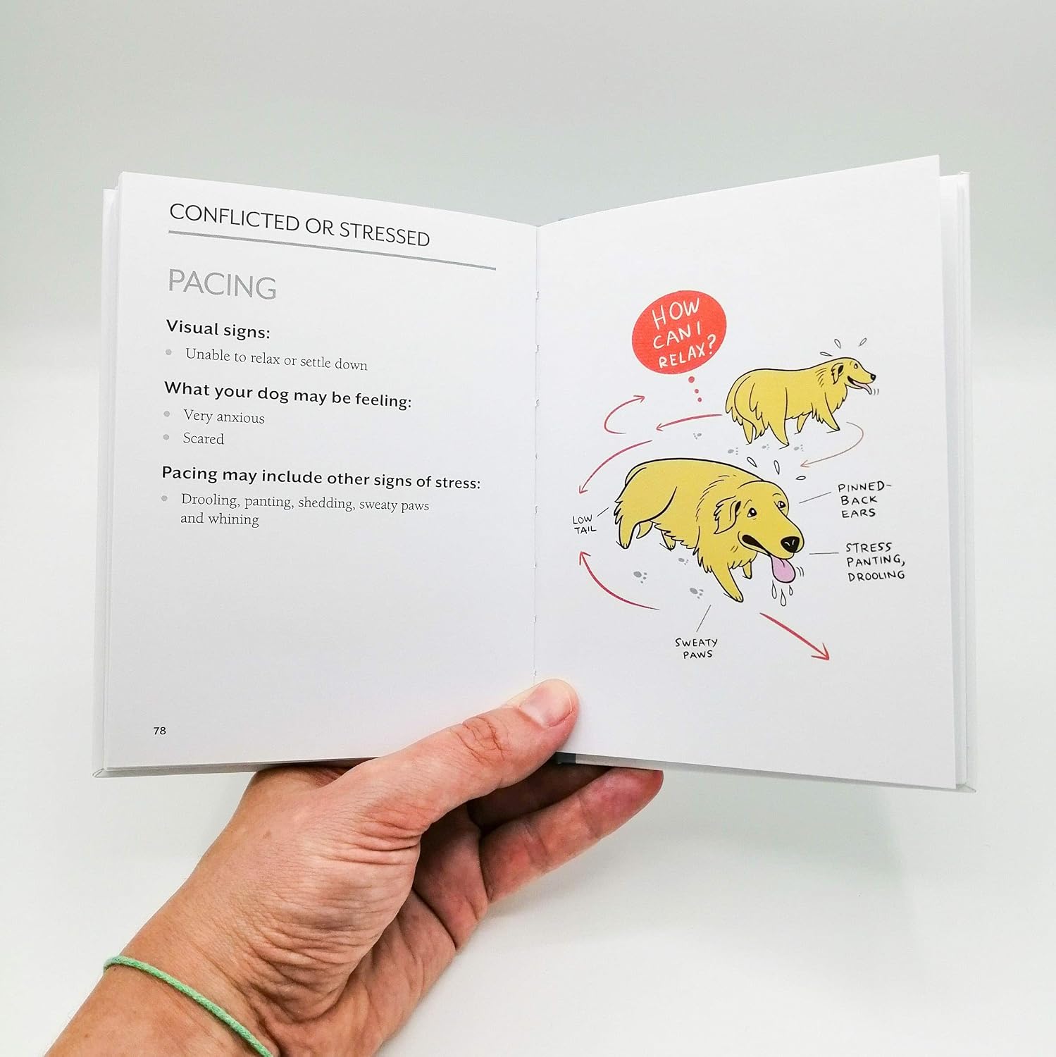 1789705668_758_Doggie-Language-Understand-Your-Dog Doggie Language: Understand Your Dog