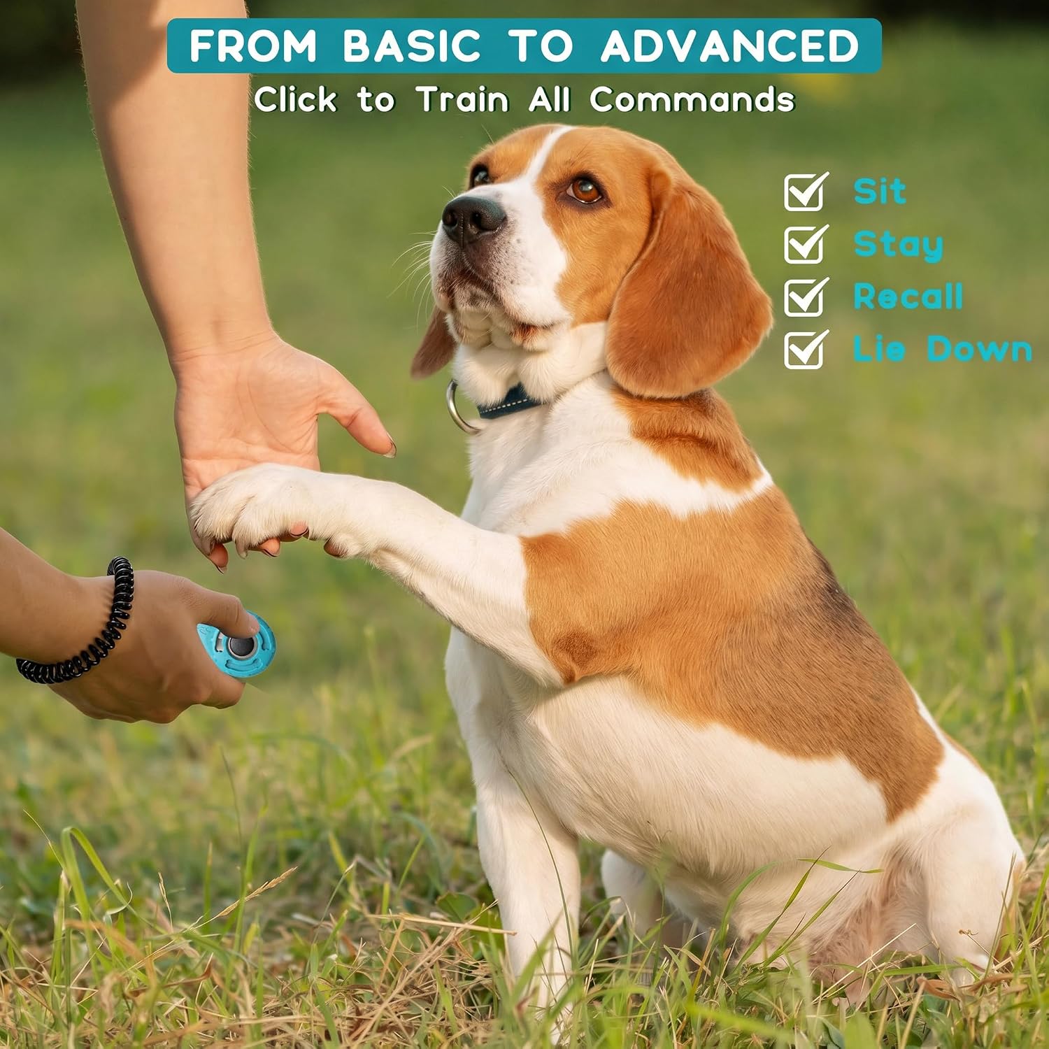 1789966067_651_Pet-Training-Clicker-with-Wrist-Strap-Keyring Pet Training Clicker with Wrist Strap & Keyring