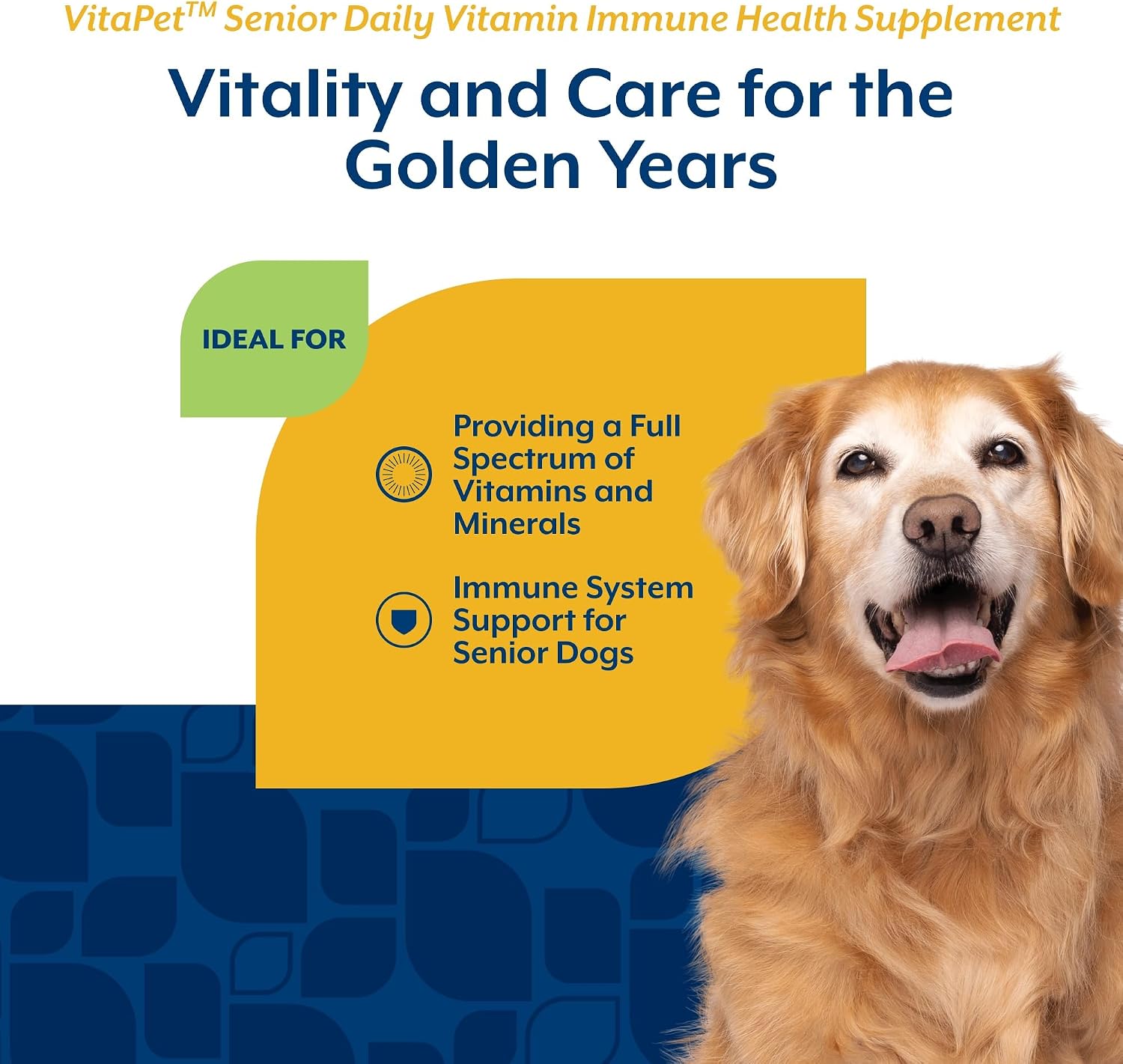 1790399506_380_NaturVet-Senior-Dog-Vitamin-Supplements-180-Ct NaturVet Senior Dog Vitamin Supplements, 180 Ct