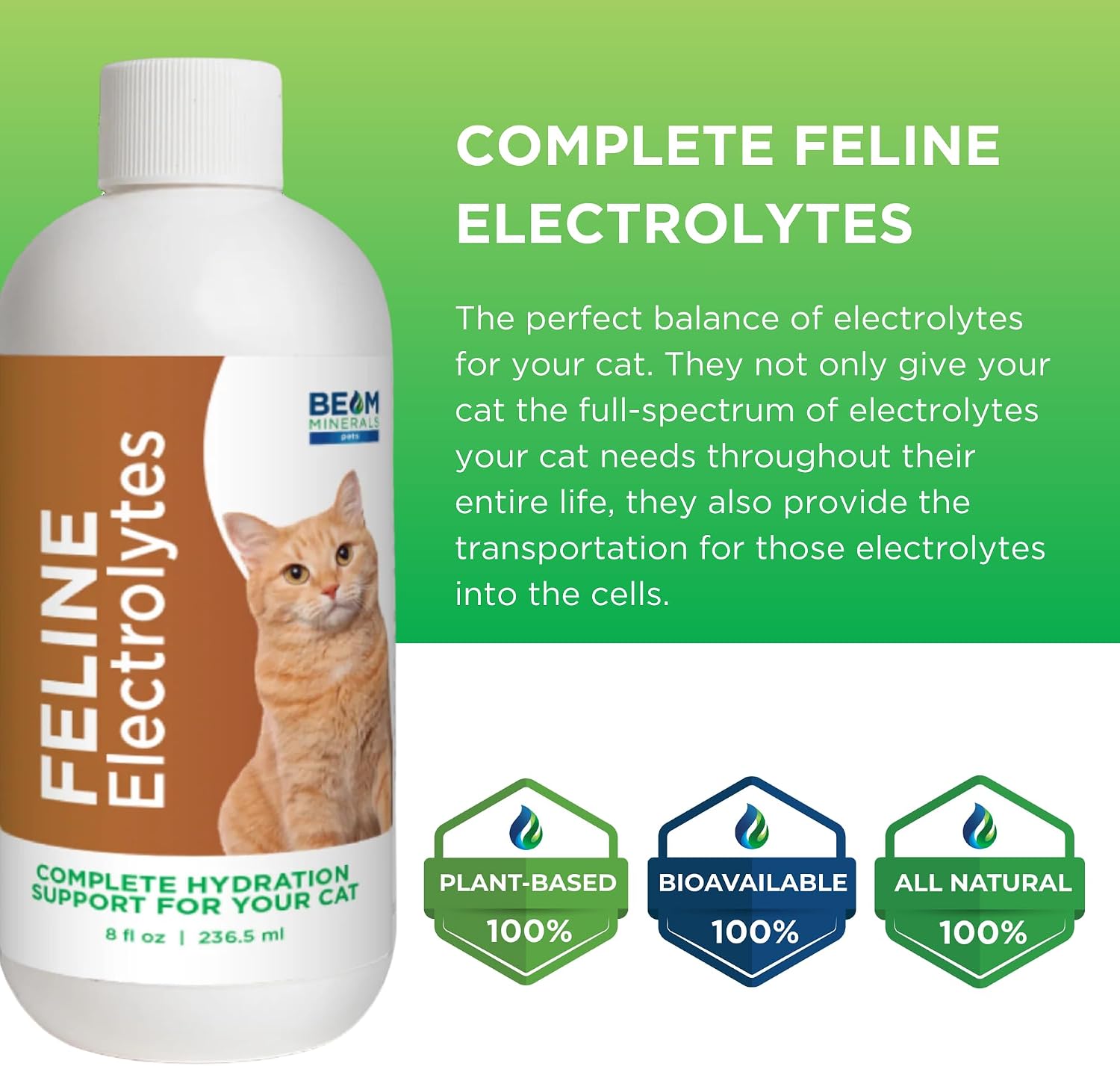 1790486024_652_BEAM-Minerals-Feline-Electrolytes-8-fl-oz BEAM Minerals Feline Electrolytes, 8 fl oz
