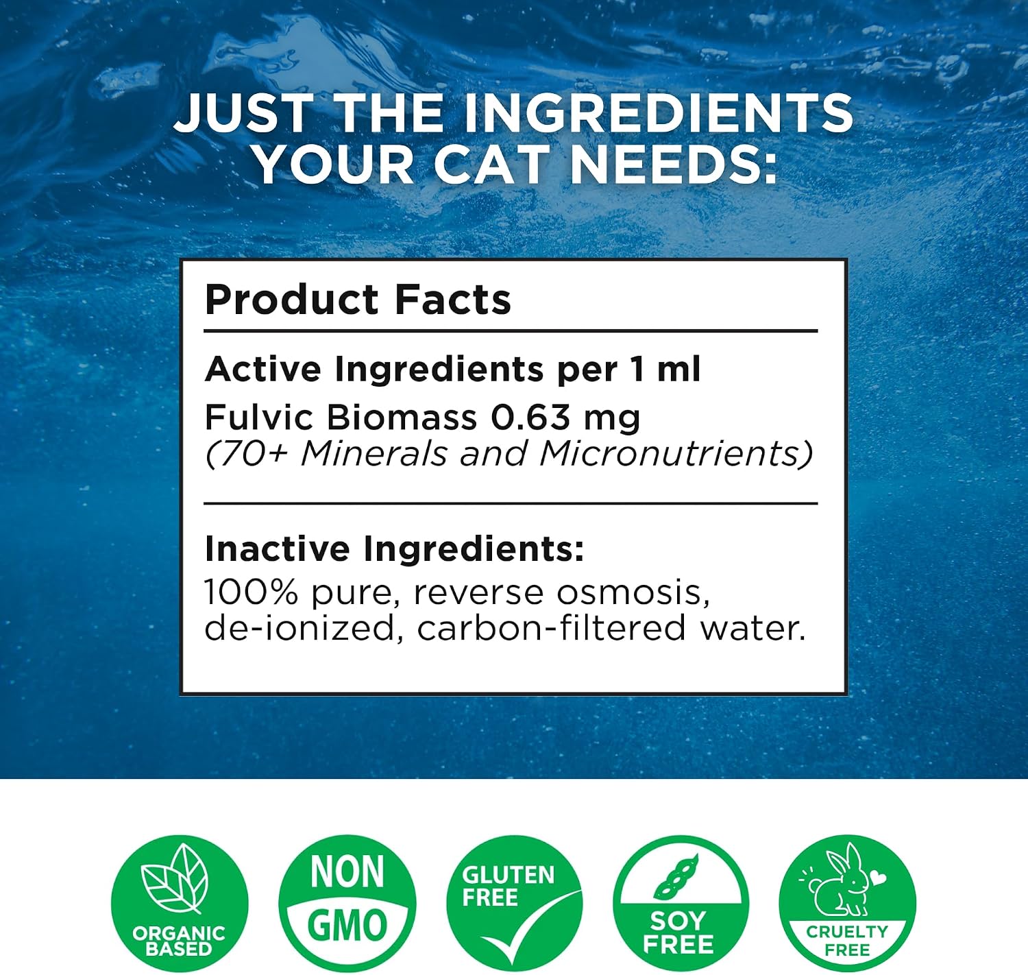 1790486024_693_BEAM-Minerals-Feline-Electrolytes-8-fl-oz BEAM Minerals Feline Electrolytes, 8 fl oz